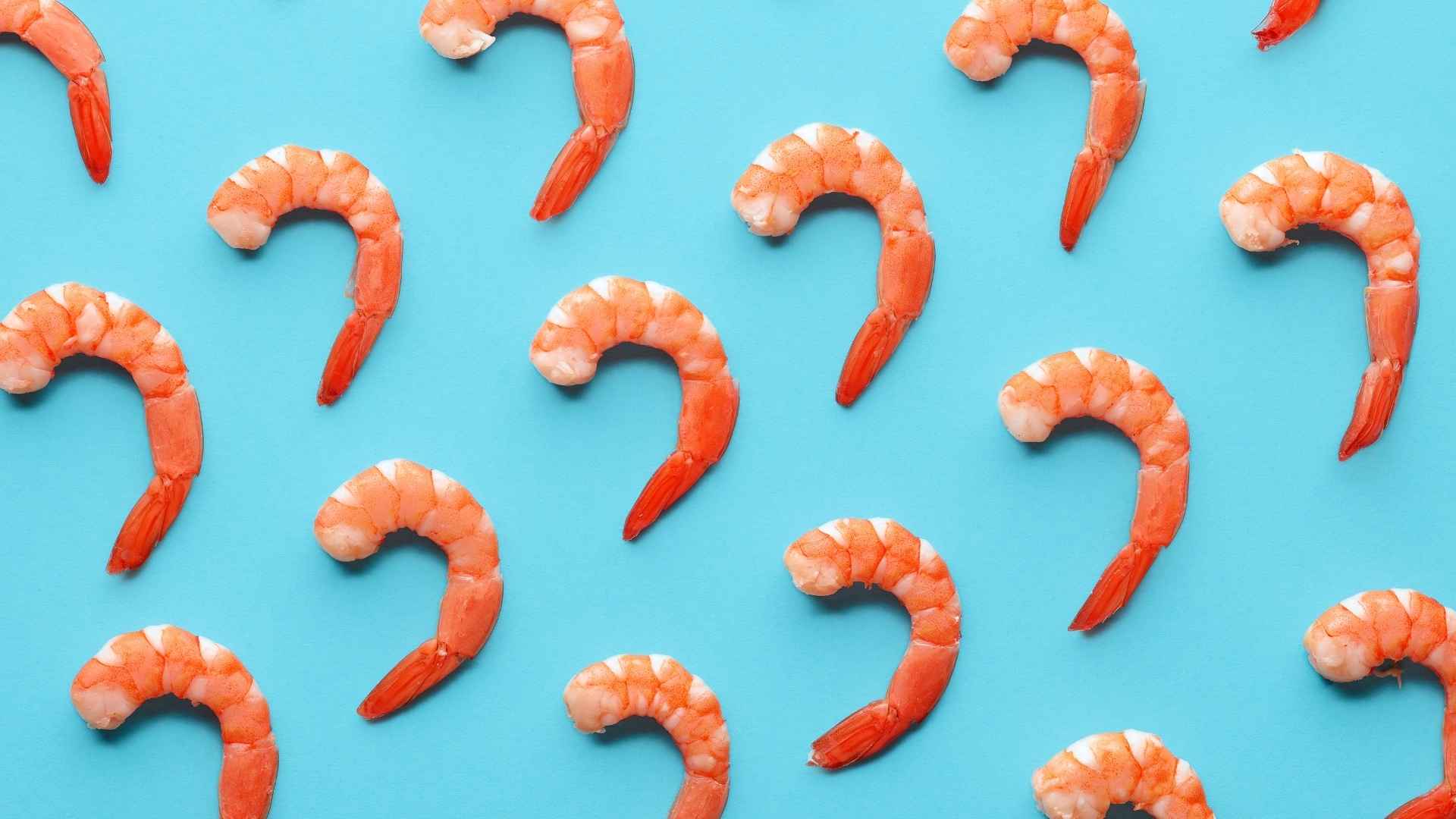 Los perros pueden comer gambas